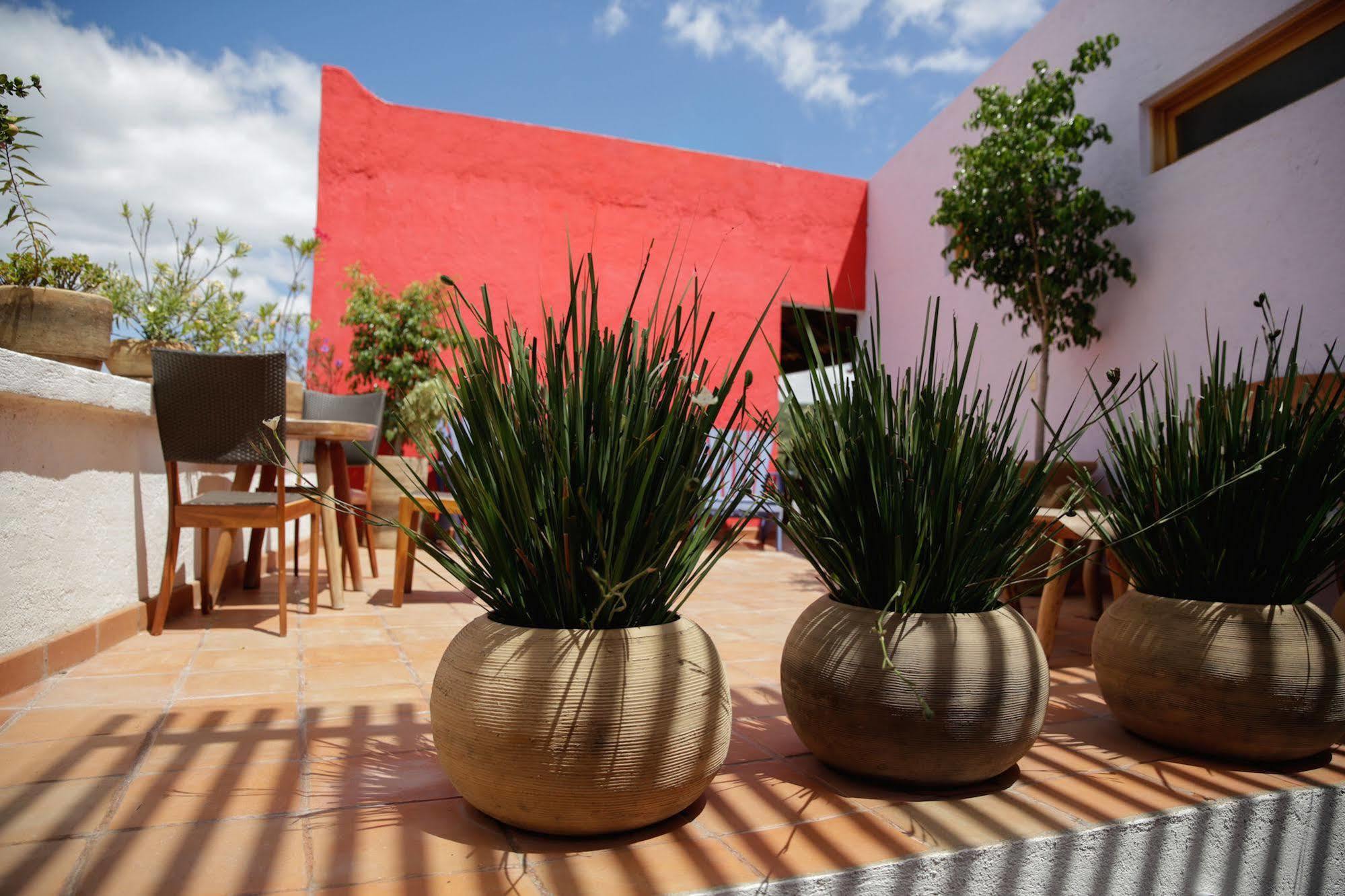 Casa Tsaya Hotel Boutique Bernal Εξωτερικό φωτογραφία